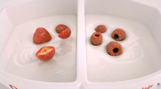 Delight Yogurt Ad. R&D