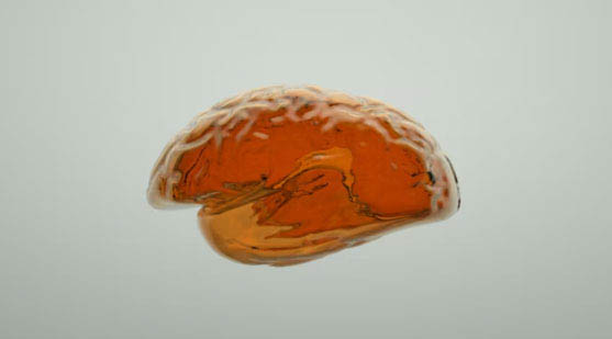 Nur Mektebi Scientific&Cultural Association ID